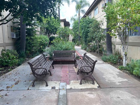 A bench in a courtyard surrounded by trees.