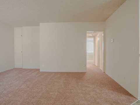A room with a carpeted floor and white walls.