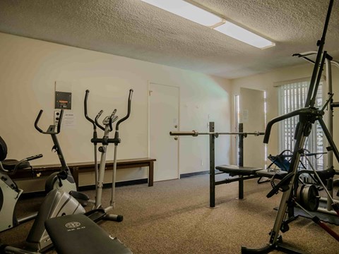 A gym with a variety of equipment including treadmills, weights, and benches.