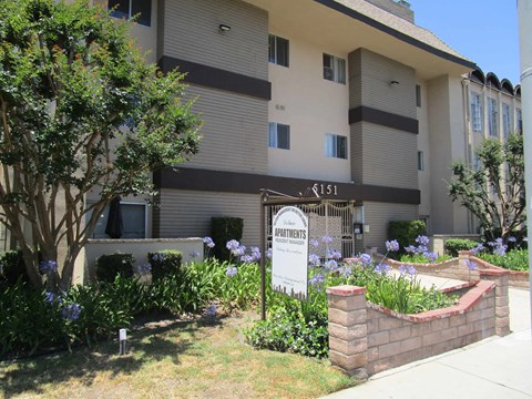 A building with a sign that says "151" and "APARTMENTS" in front of it.