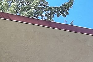 Rent Cheap Apartments In Albuquerque Nm From 555 Rentcaf 233