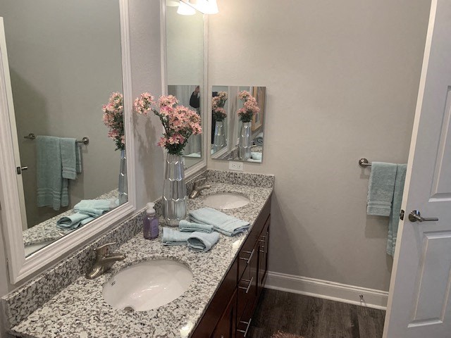 a bathroom with two sinks and a mirror