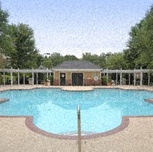 2112 Mosteller Estate Ave SE 1-3 Beds Apartment for Rent - Photo Gallery 3
