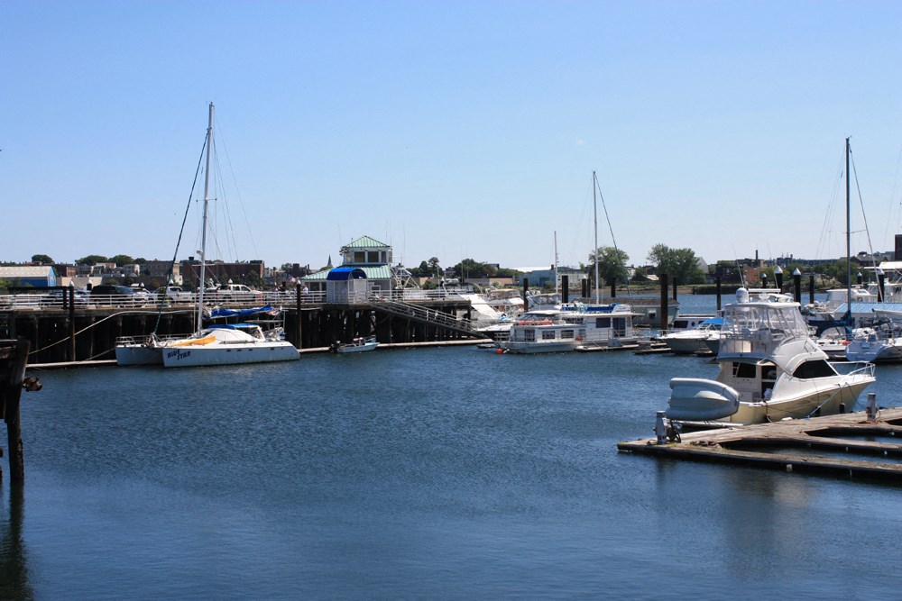many boats are docked in the harbor at a marina