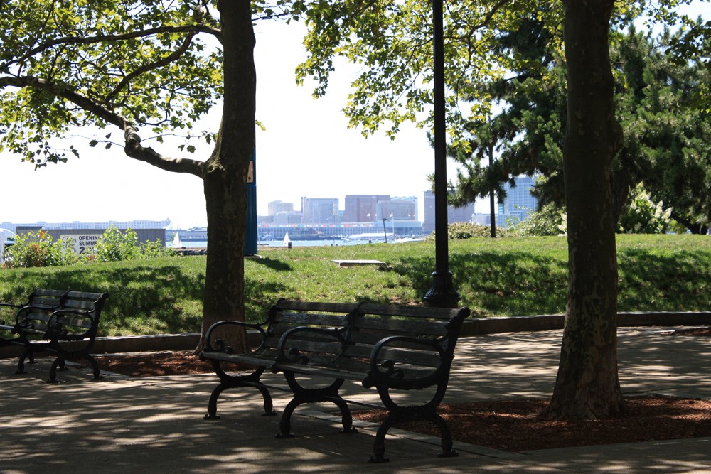 a group of benches in a park overlooking a body of water