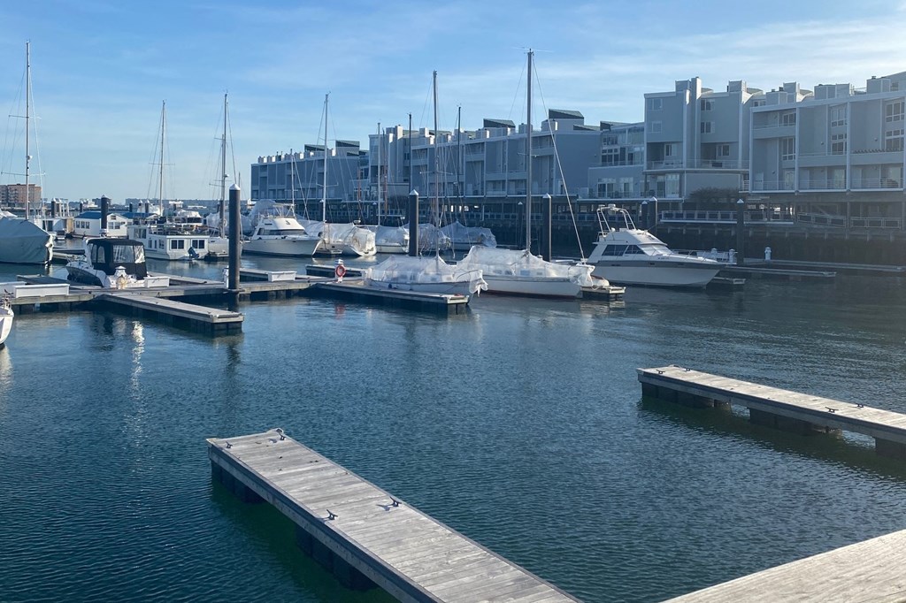 a marina with many boats and buildings in the background