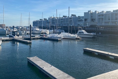 a marina with many boats and buildings in the background