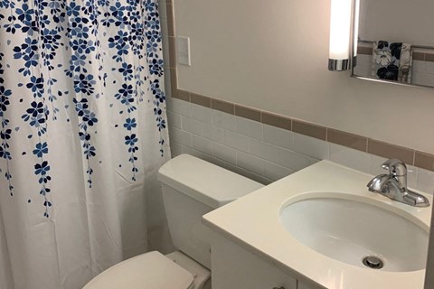 a bathroom with a sink and a toilet and a shower curtain