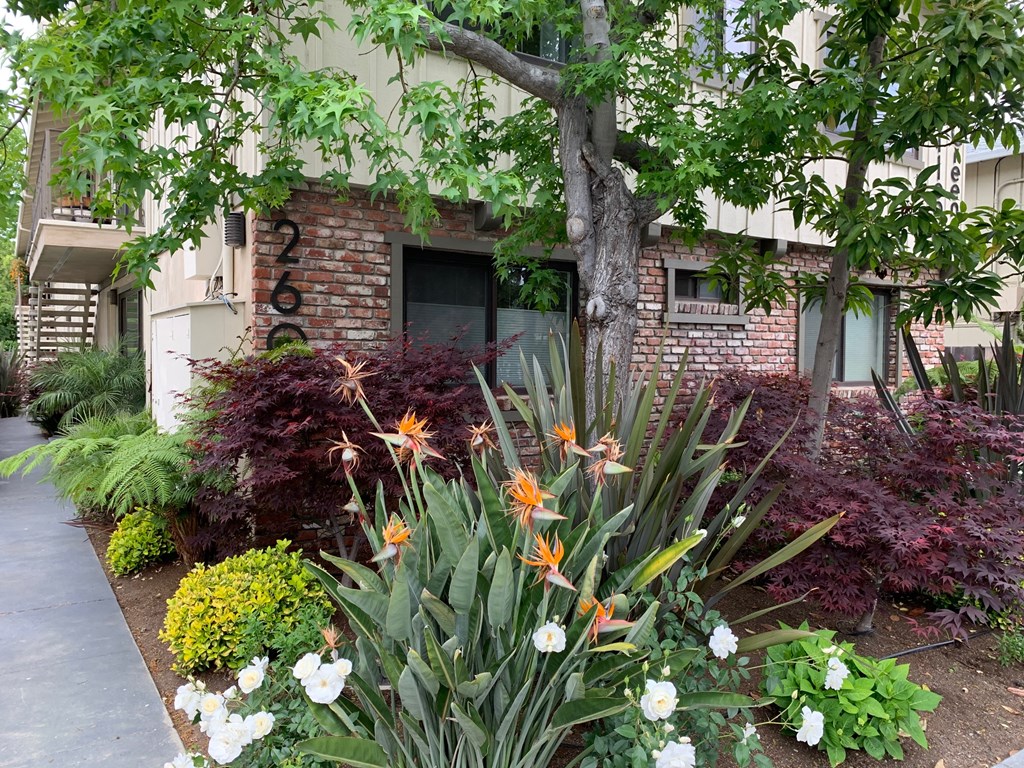 College Green Apartments