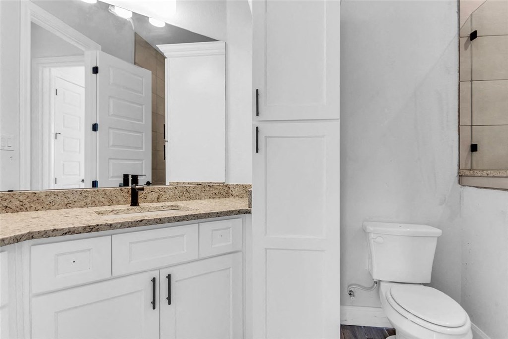 a bathroom with a toilet and a sink and a mirror