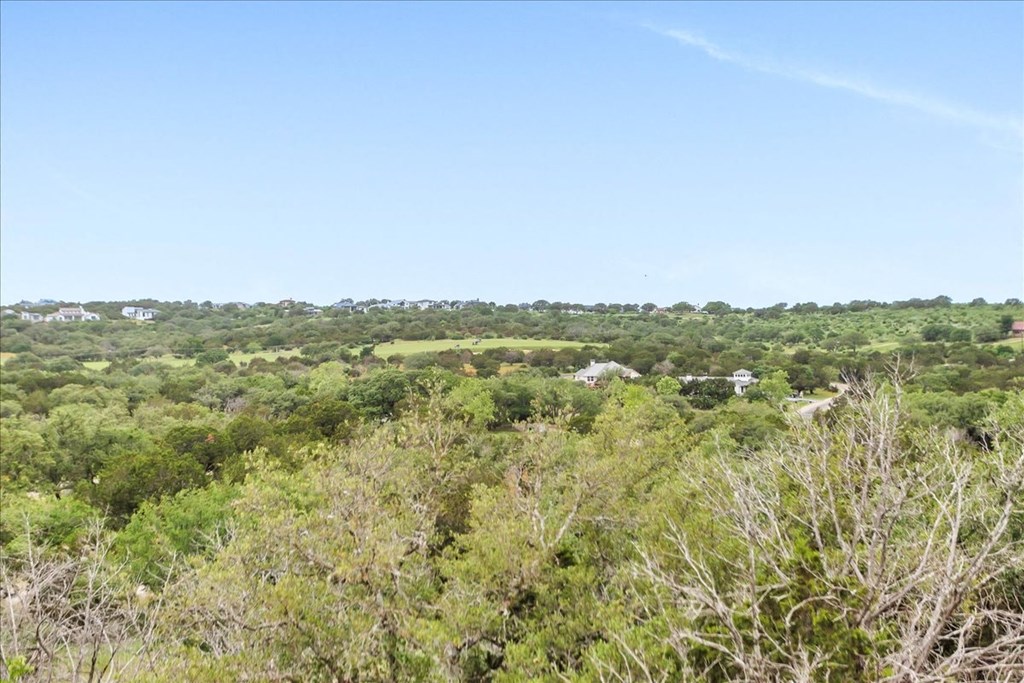 the view from the top of the hill