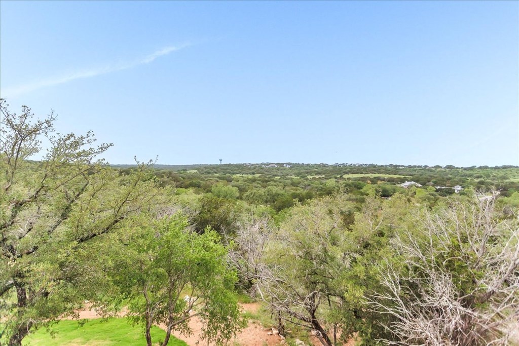 the view from the top of a tree