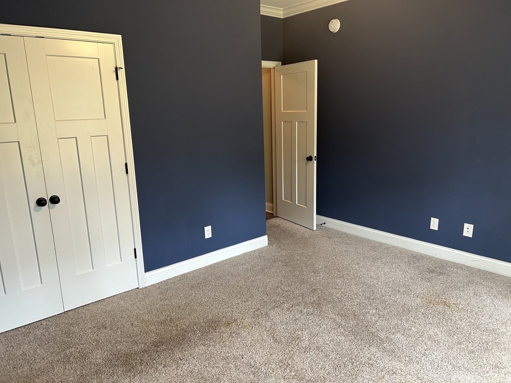 a room with a blue wall and two doors and a carpeted floor