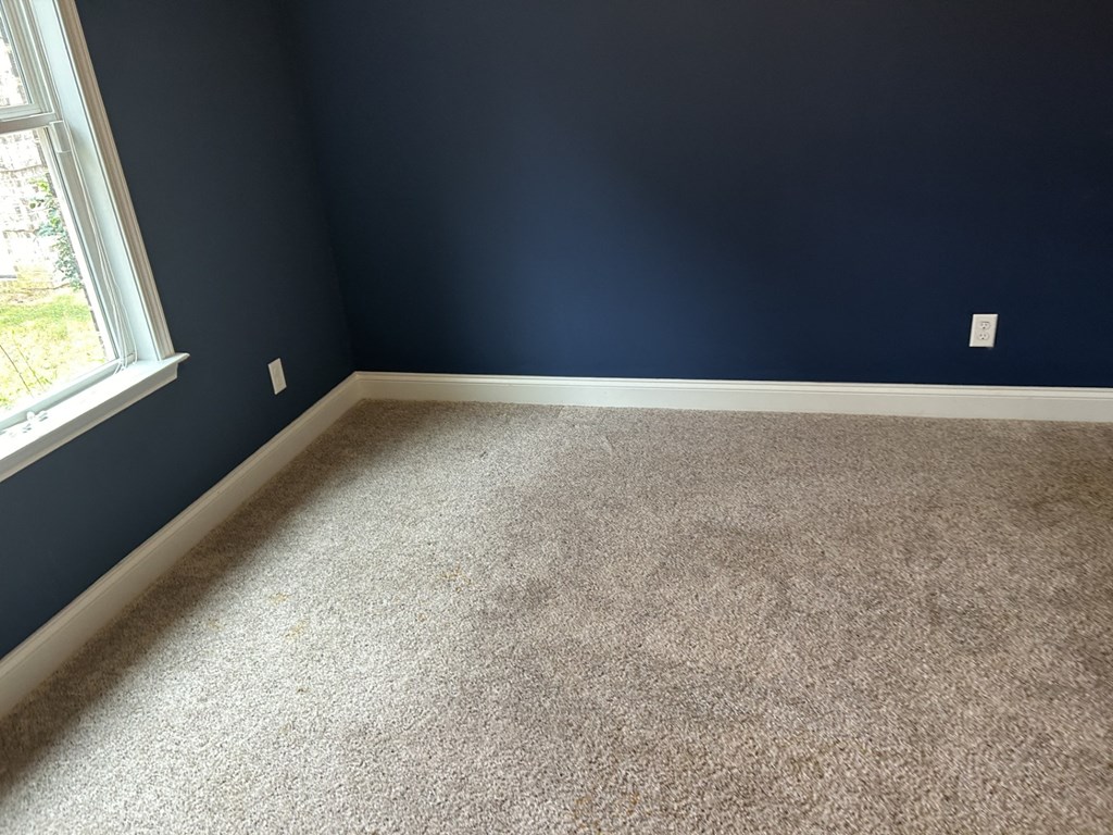 a carpeted room with a blue wall and a window