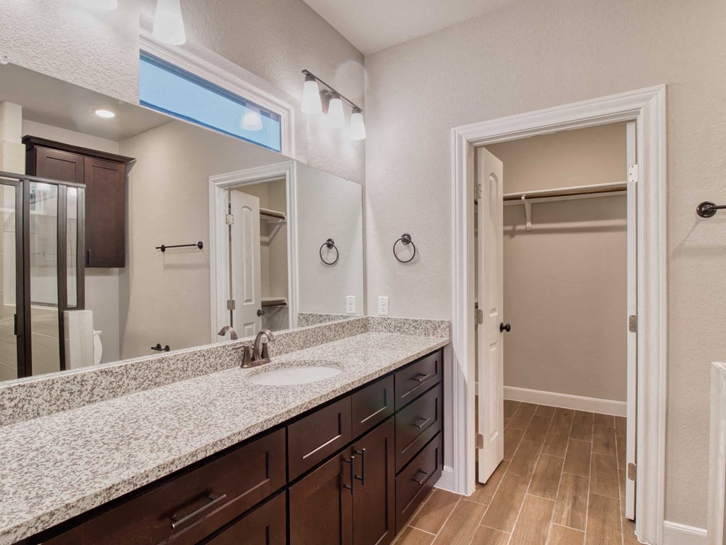 a bathroom with a sink and a mirror and a shower