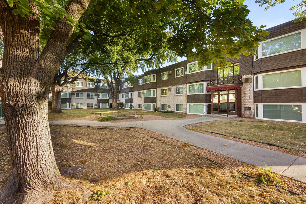 A tree is in the foreground of a residential area.
