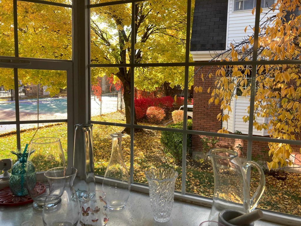 a window with a view of a backyard with trees and autumn leaves