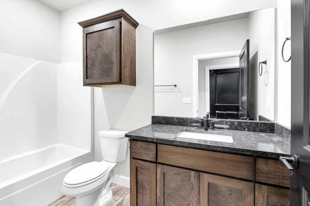 a bathroom with a sink and a toilet and a mirror