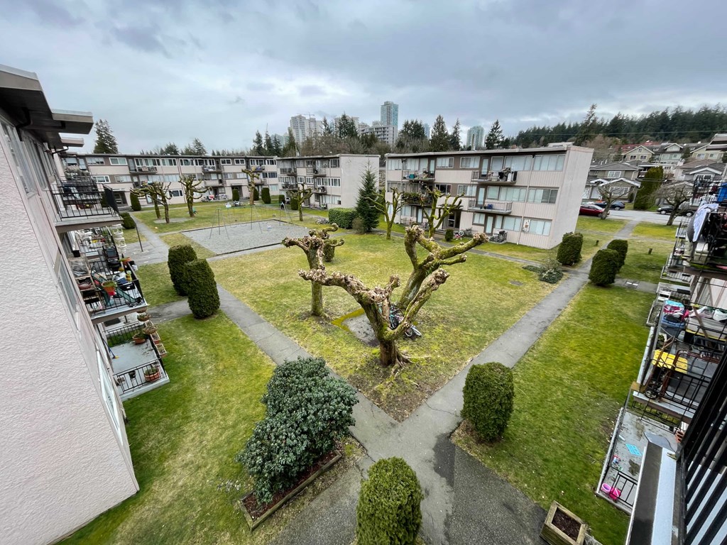 A courtyard with a tree in the center and buildings surrounding it.