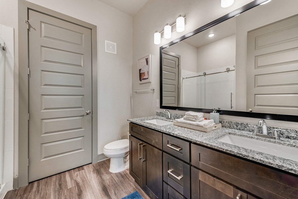 a bathroom with a sink and a toilet and a mirror