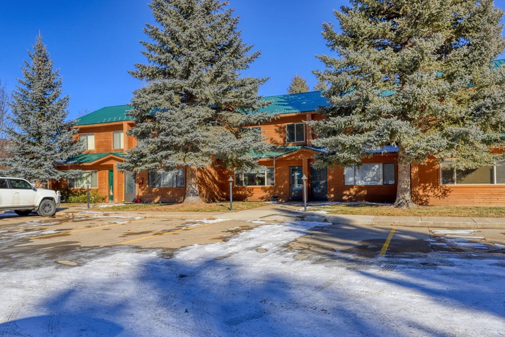 a large house with trees in front of it in the snow