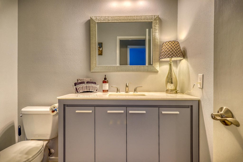 a bathroom with a sink and a mirror and a toilet