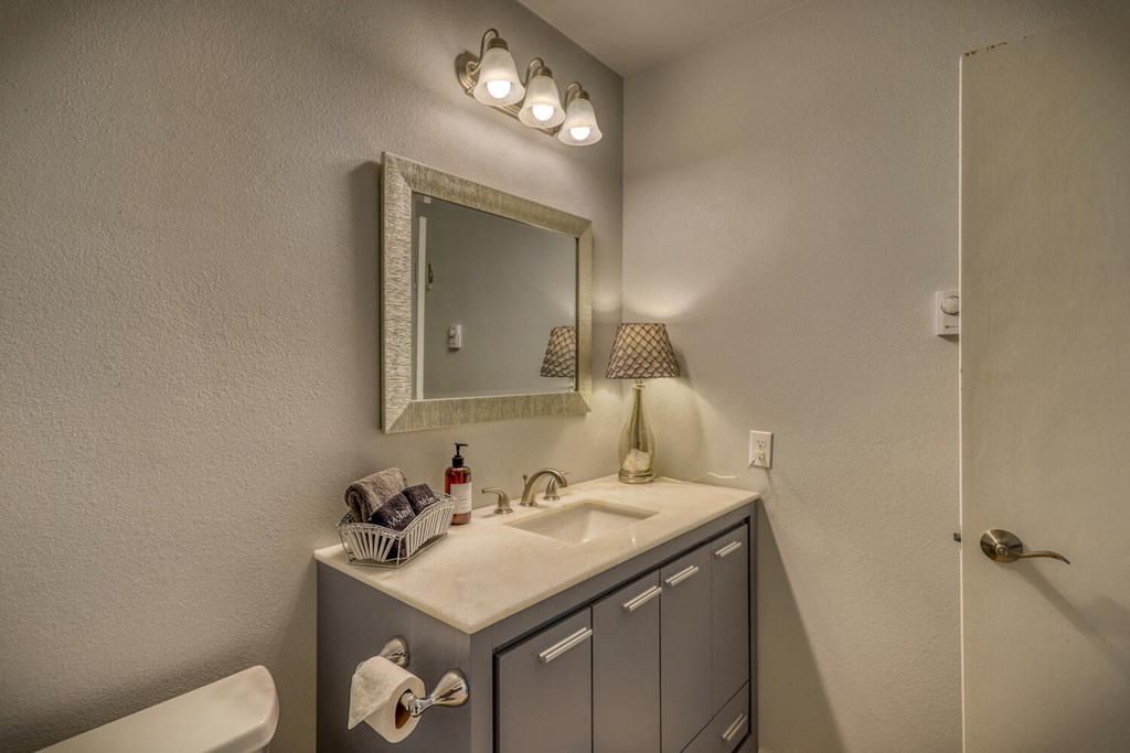a bathroom with a sink and a mirror