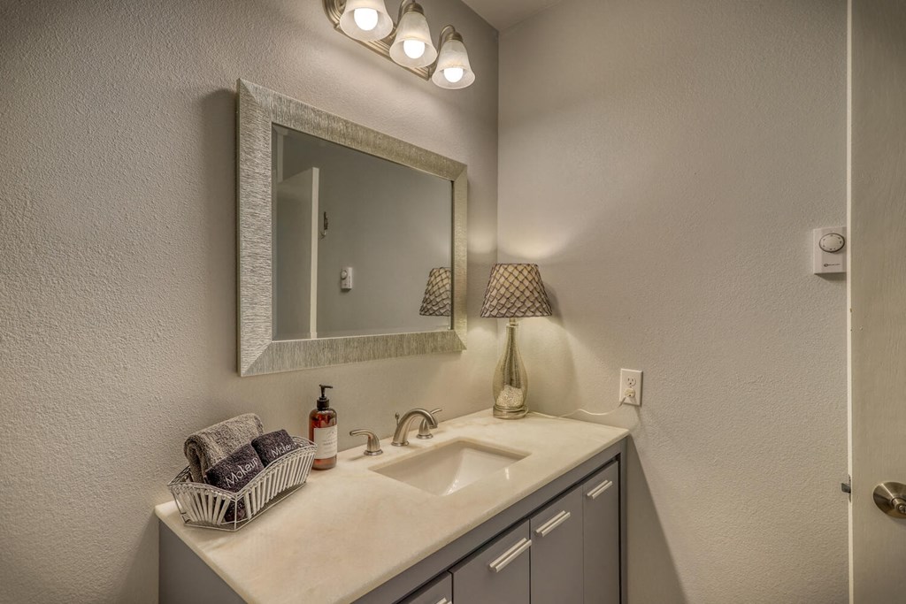 a bathroom with a sink and a mirror