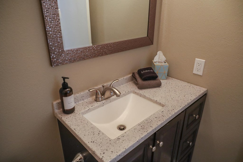 a bathroom with a sink and a mirror