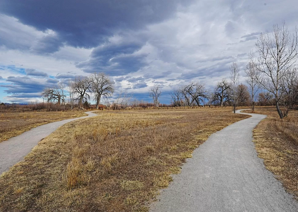 a path through a field with trees and a cloudy sky