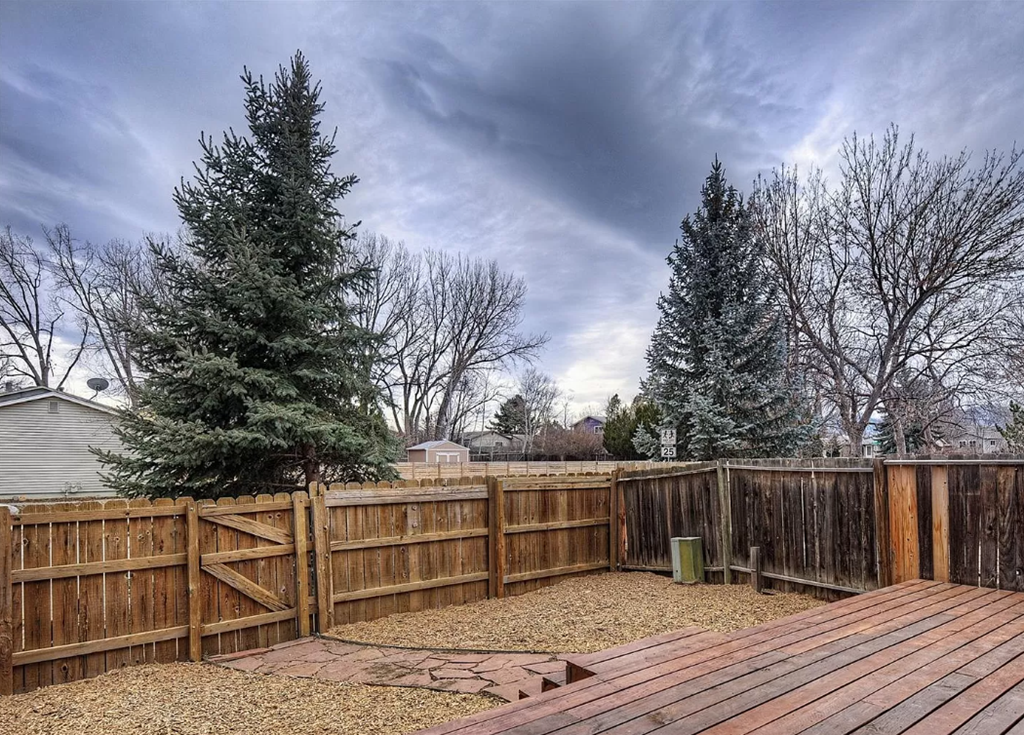 a backyard with a wooden fence and pine trees