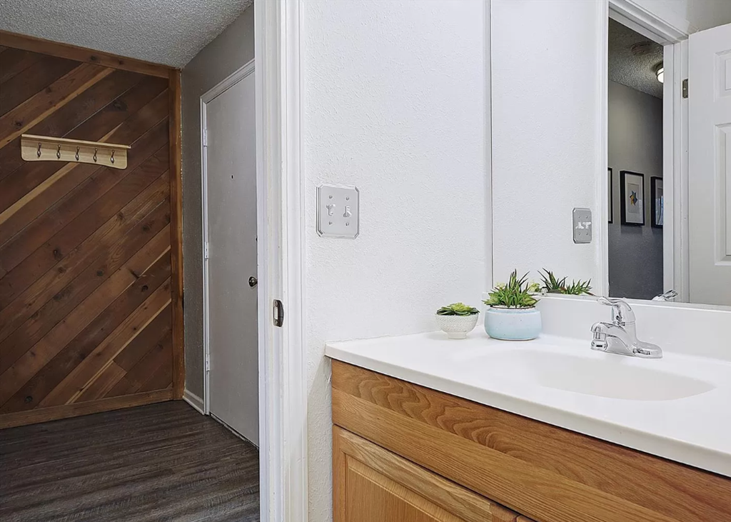 a bathroom with a sink and a mirror