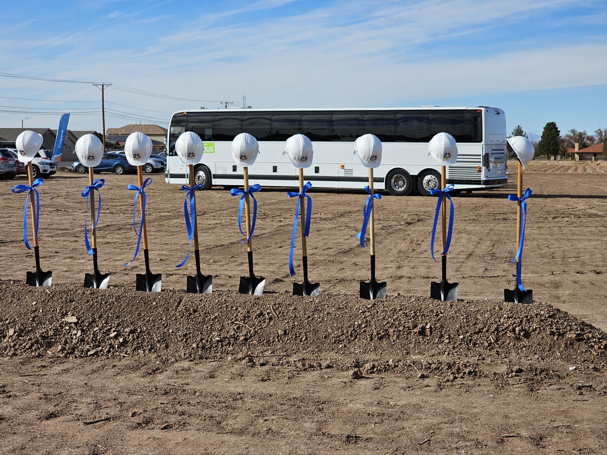 A row of trees are planted in a field with a bus in the background.
