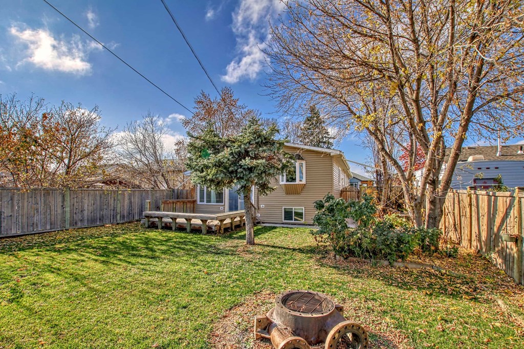 a backyard with a small house and a tree in the yard