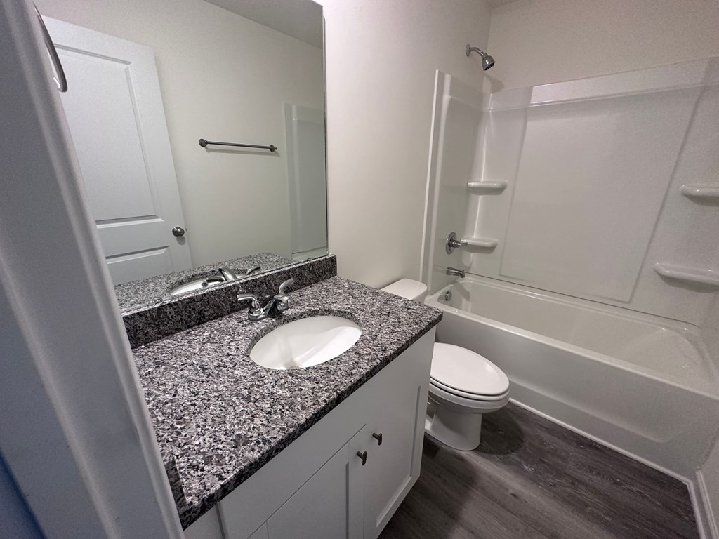 a bathroom with a sink and a toilet and a shower