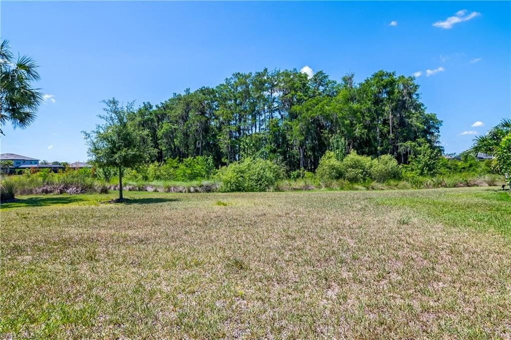 a large grass field with trees in the background