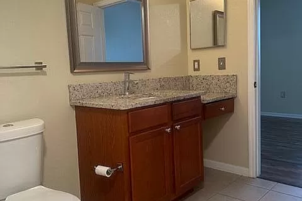 a bathroom with a sink and a toilet and a mirror