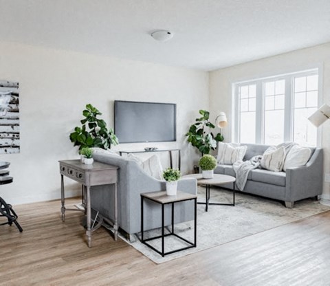 a living room with a couch and a television