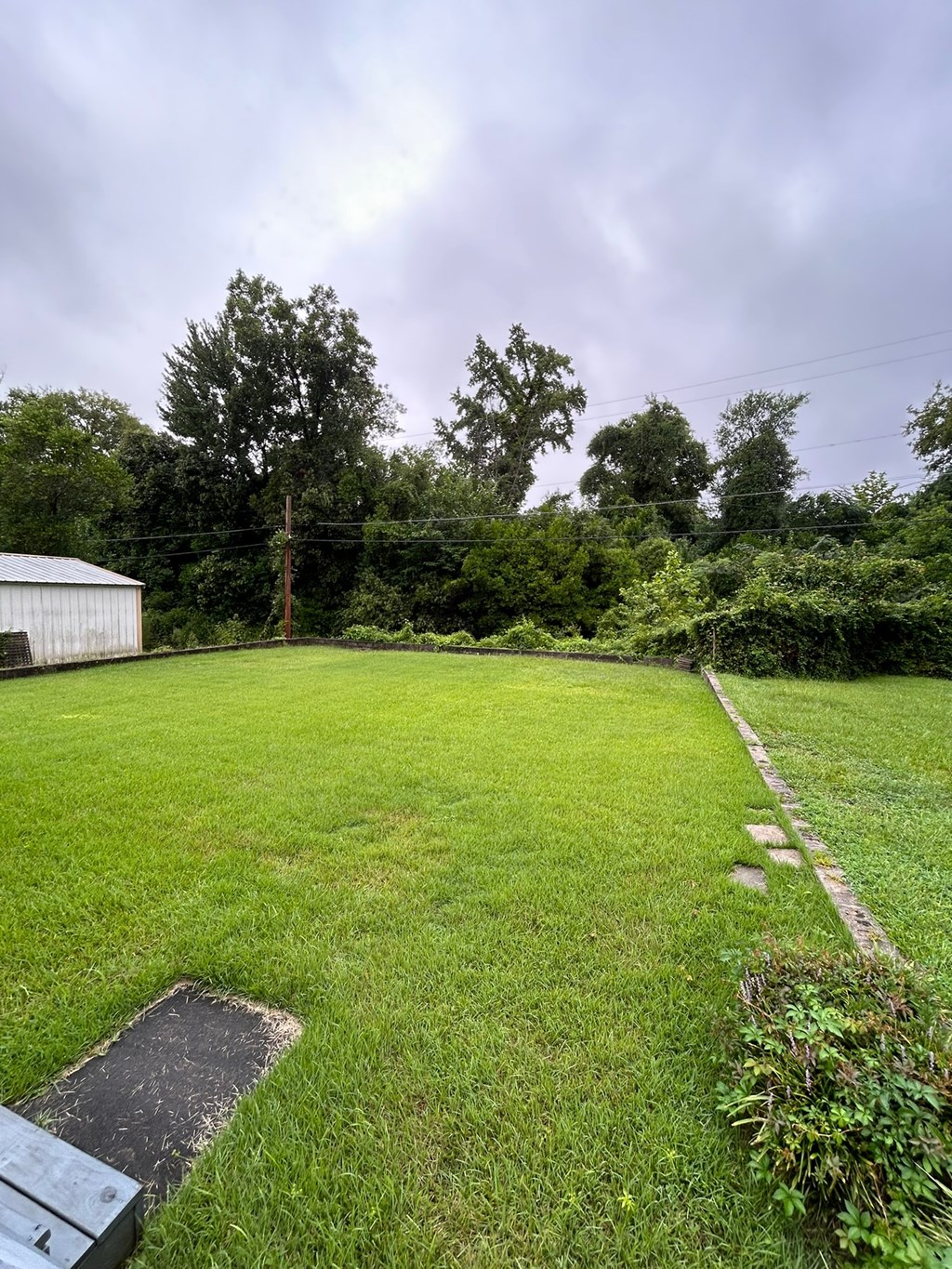 A backyard with a green lawn and a wooden fence.