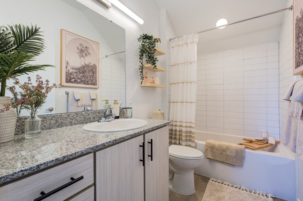 a bathroom with a sink and a toilet and a shower