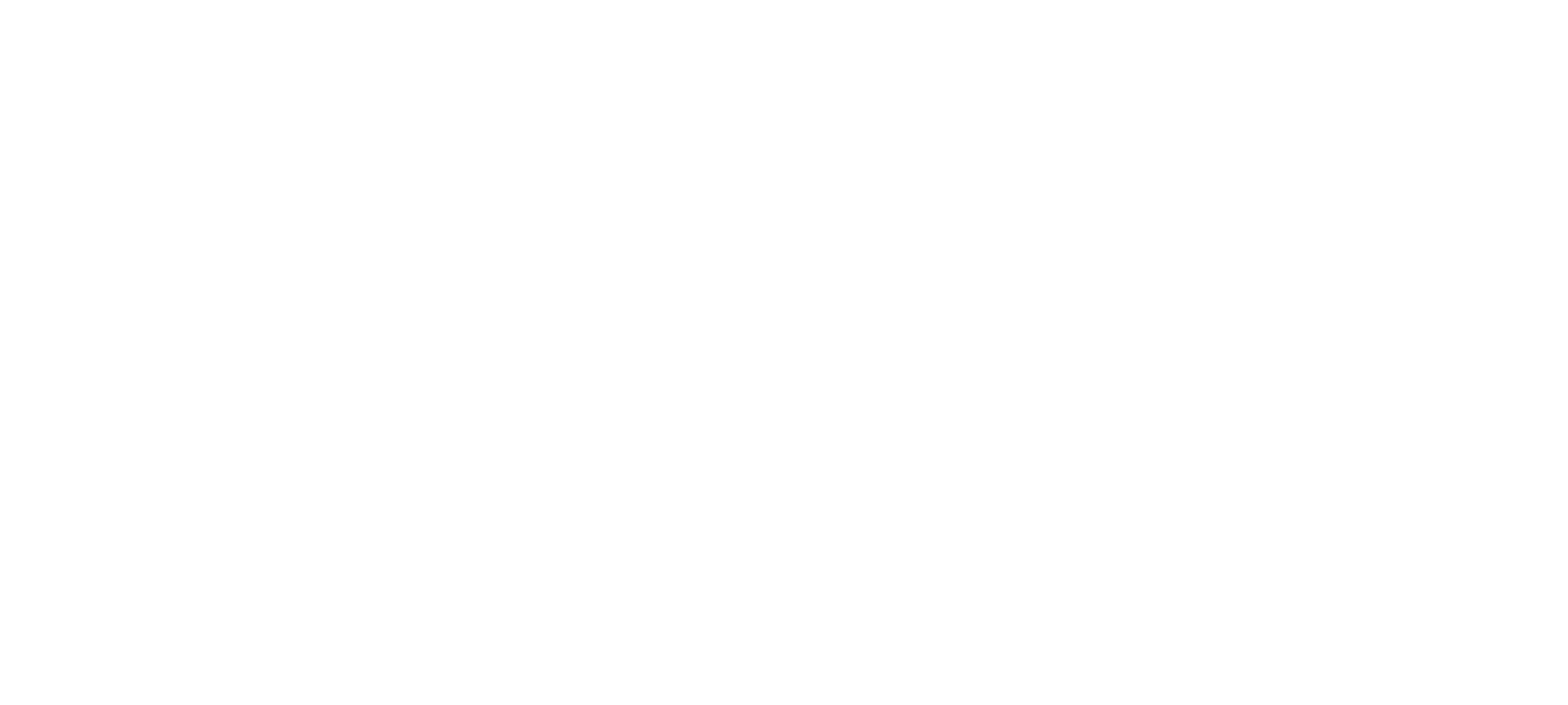 Birdsong Phoenix logo