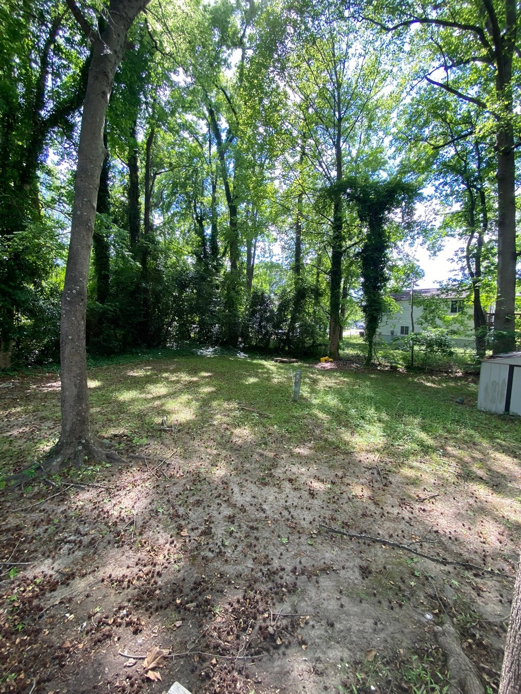 the backyard of the house has a lot of trees