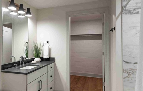 a bathroom with a sink and a shower and a mirror