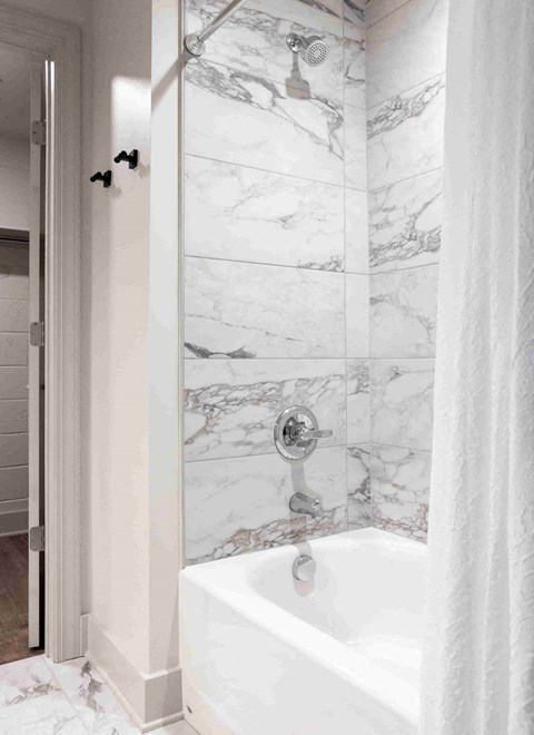 a bathroom with a shower and a tub and a shower curtain