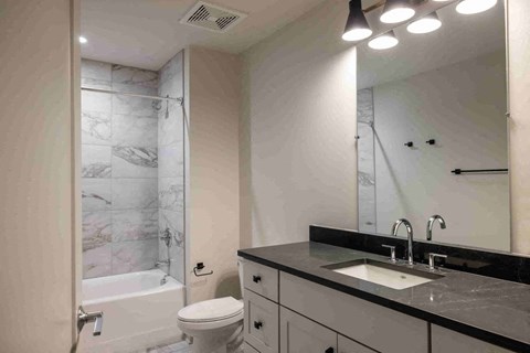 a bathroom with a sink and a toilet and a shower