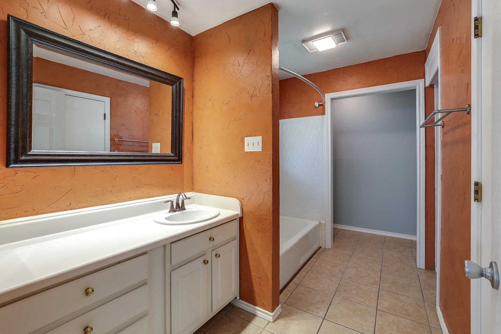 a bathroom with a sink and a shower and a mirror