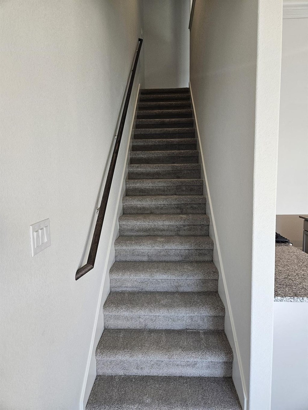 a set of stairs with a hand rail and carpeted stairs