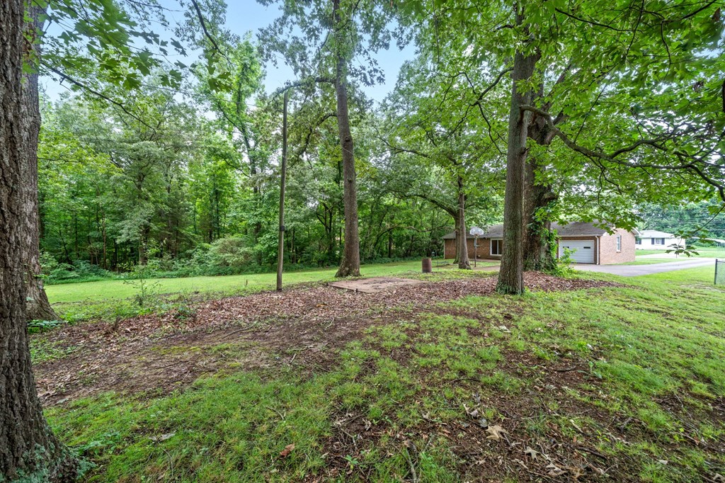 a view of a park with trees and a house