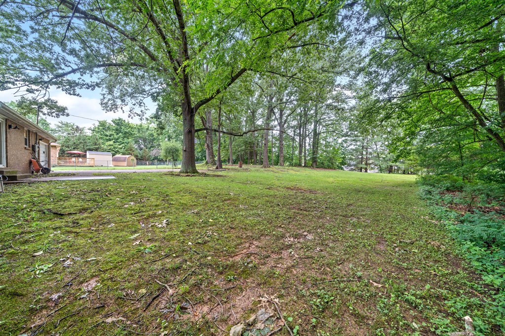 a yard with trees and a house on the side