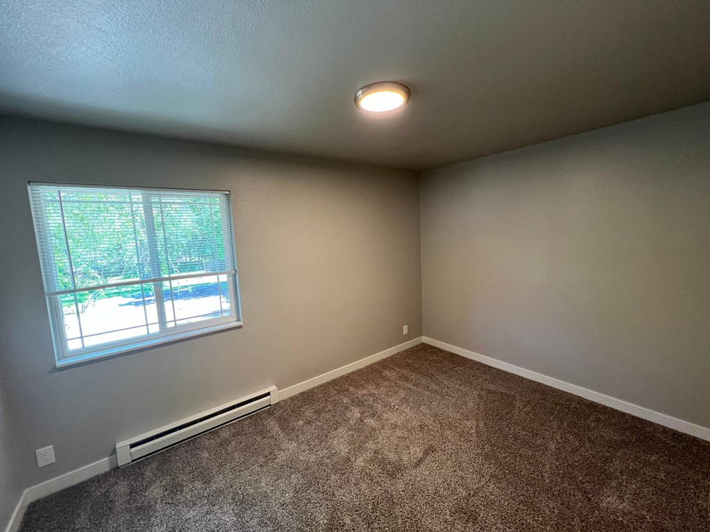 an empty room with a window and carpet